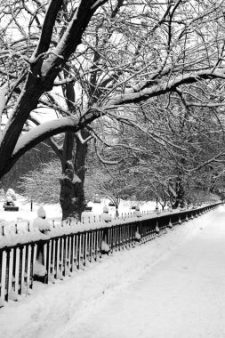 Boston Skyline stok görüntü