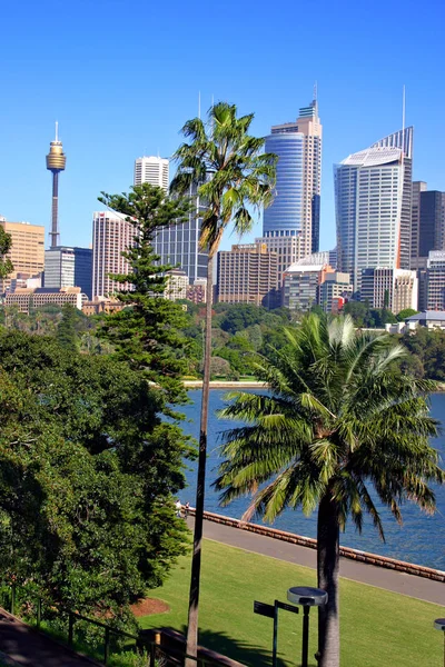 Una vista del horizonte de Sydney desde el Real Jardín Botánico — Foto de Stock