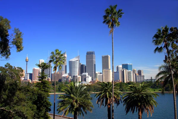 A view of Sydney's skyline from the Royal Botanical Garden — Stock Photo, Image