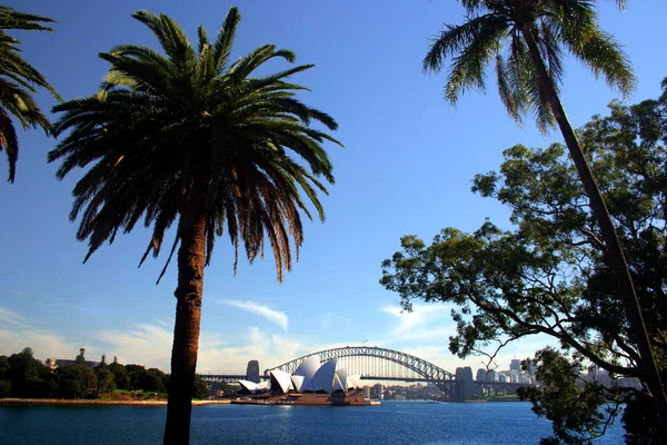 Una vista del horizonte de Sydney desde el Real Jardín Botánico — Foto de Stock