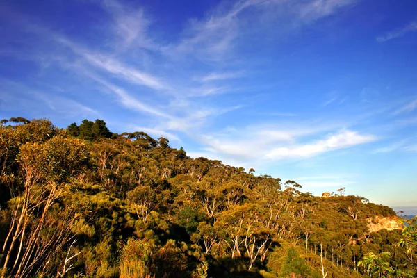 Blue Mountain, Nsw, Australien — Stockfoto