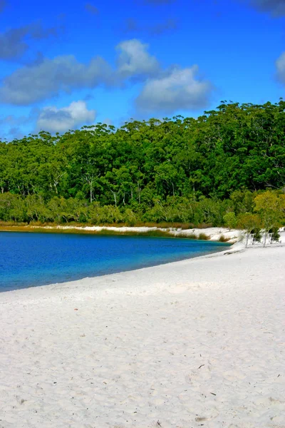 Fraser island, Stany Zjednoczone Ameryki — Zdjęcie stockowe