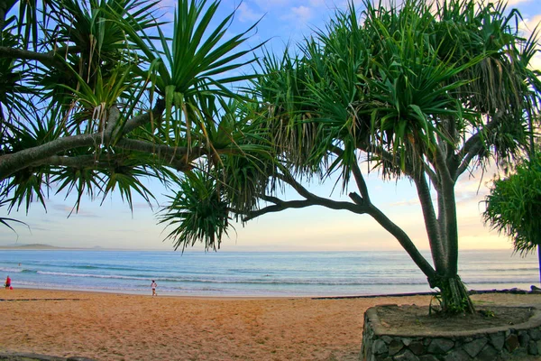 Sonnenküste, Australien — Stockfoto