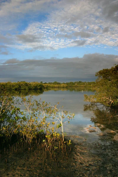 Sonnenküste, Australien — Stockfoto