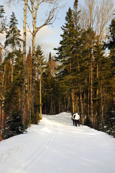 Bretton Woods, New Hampshire — Stockfoto