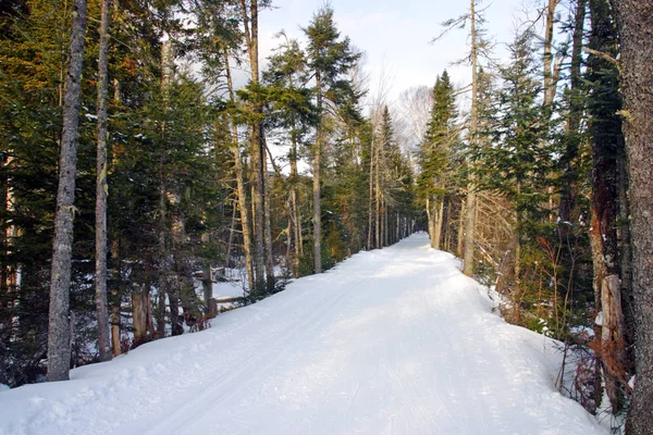 Bretton Woods, New Hampshire — Stockfoto