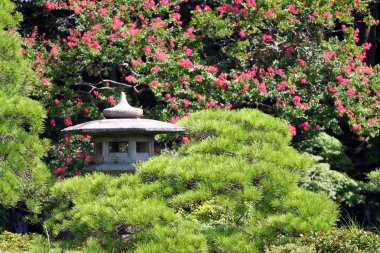 Stok görüntü Kyoto, Japonya