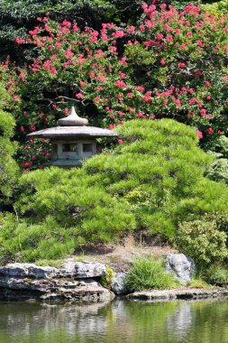 Stok görüntü Kyoto, Japonya
