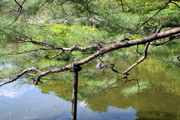 Heian παρεκκλήσι, Κιότο, Japam — Φωτογραφία Αρχείου