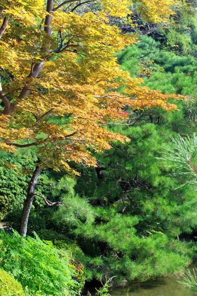 Heian Tapınak, Kyoto, Japam — Stok fotoğraf