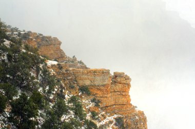 Grand Canyon Ulusal Parkı, ABD