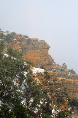Grand Canyon Ulusal Parkı, ABD