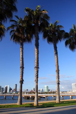 San Diego, Amerika Birleşik Devletleri