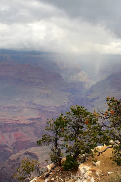 Grand Canyon Ulusal Parkı, ABD — Stok fotoğraf