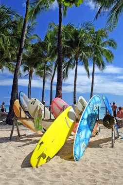 Beach Waikiki, Honolulu, Oahu, Hawaii