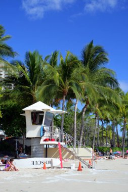 Beach Waikiki, Honolulu, Oahu, Hawaii