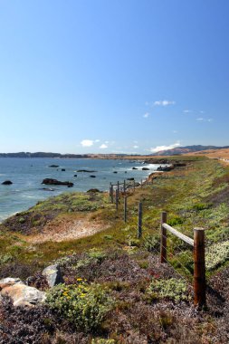 Kaliforniya'nın Central Coast, Big Sur, ABD