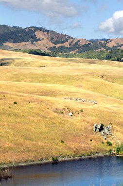 Kaliforniya'nın Central Coast, Big Sur, ABD