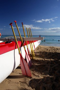 Beach Waikiki, Honolulu, Oahu, Hawaii
