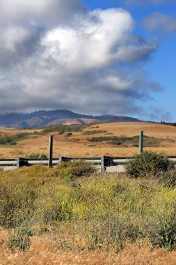 Kaliforniya'nın Central Coast, Big Sur, ABD