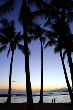 Beach Waikiki, Honolulu, Oahu, Hawaii