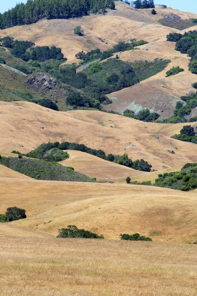 Kaliforniens Zentralküste, Big Sur, USA — Stockfoto