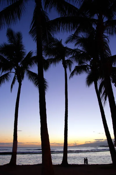 Spiaggia di Waikiki, Honolulu, Oahu, Hawaii — Foto Stock