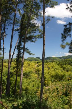 Croydon Plantation, Jamaica