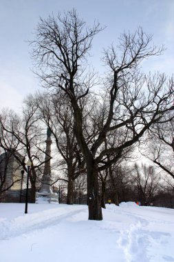 Boston, Massachusetts, ABD 'de kar yağışının stok görüntüsü