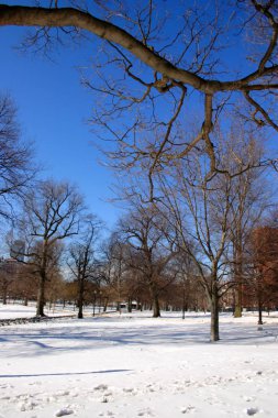 Boston, Massachusetts, ABD 'de kar yağışının stok görüntüsü