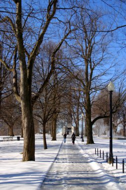 Boston, Massachusetts, ABD 'de kar yağışının stok görüntüsü
