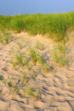 Cape Cod, Massachusetts, ABD