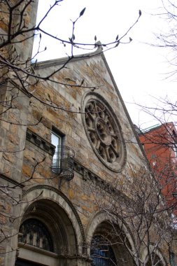 Kuyruk yüzgeci gri balina Atlantik