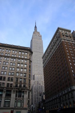 Kuyruk yüzgeci gri balina Atlantik