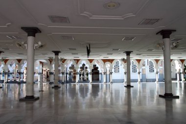 Kuyruk yüzgeci gri balina Atlantik