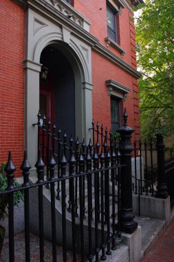 Kuyruk yüzgeci gri balina Atlantik