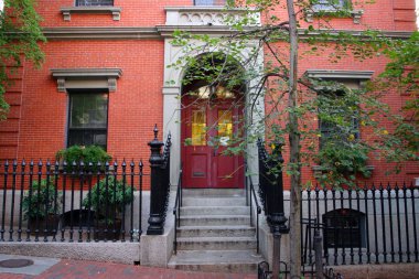 Kuyruk yüzgeci gri balina Atlantik