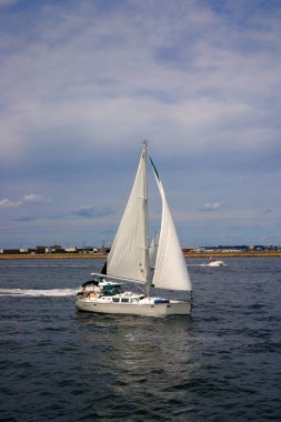 Kuyruk yüzgeci gri balina Atlantik