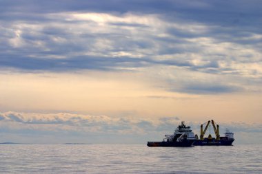 Kuyruk yüzgeci gri balina Atlantik