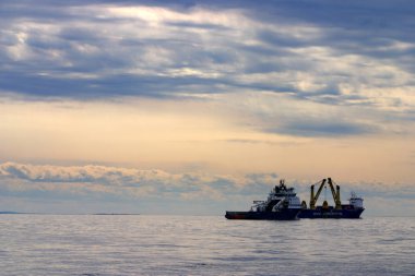 Kuyruk yüzgeci gri balina Atlantik