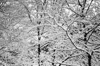Boston, Massachusetts, ABD 'de kar yağışının stok görüntüsü