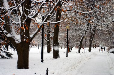 Boston, Massachusetts, ABD 'de kar yağışının stok görüntüsü