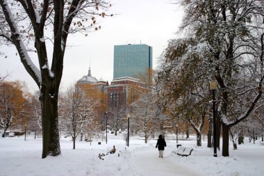 Boston, Massachusetts, ABD 'de kar yağışının stok görüntüsü