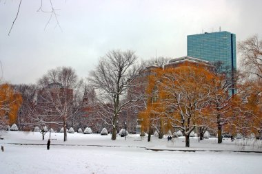 Boston, Massachusetts, ABD 'de kar yağışının stok görüntüsü