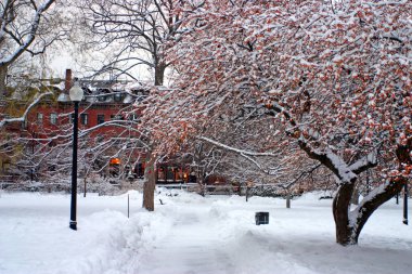 Boston, Massachusetts, ABD 'de kar yağışının stok görüntüsü