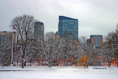 Boston, Massachusetts, ABD 'de kar yağışının stok görüntüsü