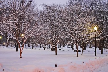 Boston, Massachusetts, ABD 'de kar yağışının stok görüntüsü