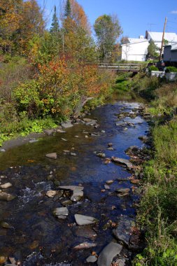 Sonbaharda yapraklar, Vermont, ABD