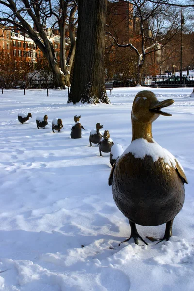 Imagem de estoque de um inverno nevando em Boston, Massachusetts, EUA — Fotografia de Stock