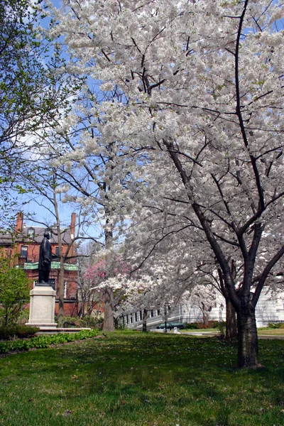 Massachusetts State House — Stockfoto